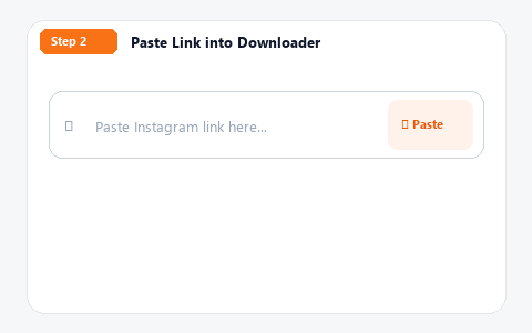 Animated demonstration of pasting Instagram URL into the download box