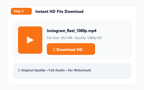 Preview of iGram Instagram Downloader